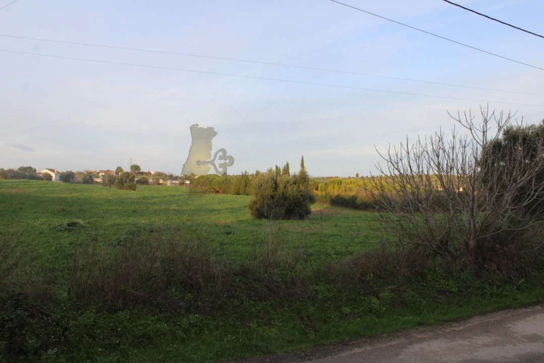 Terreno para Venda em Madalena e Beselga Foto 7