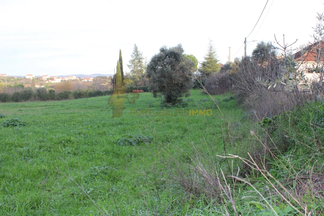 Terreno para Venda em Madalena e Beselga Foto 10