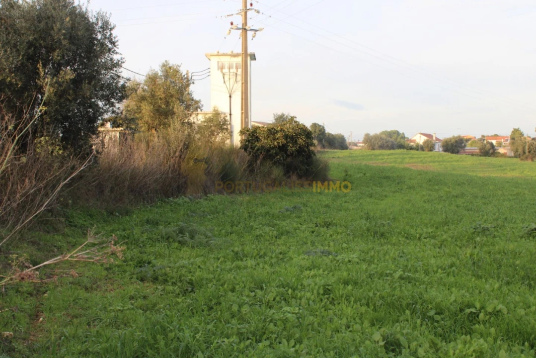 Terreno para Venda em Madalena e Beselga Foto 11