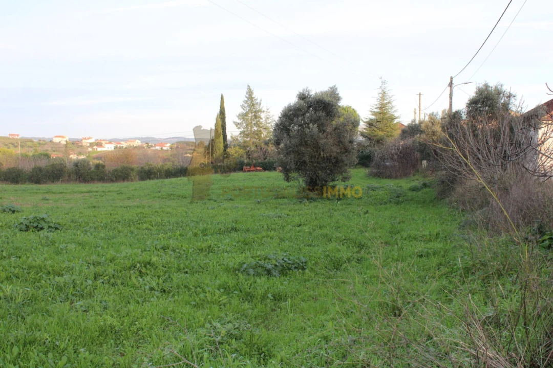 Terreno para Venda em Madalena e Beselga Foto 12