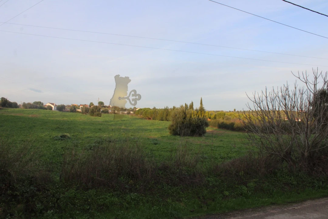 Terreno para Venda em Madalena e Beselga Foto 13