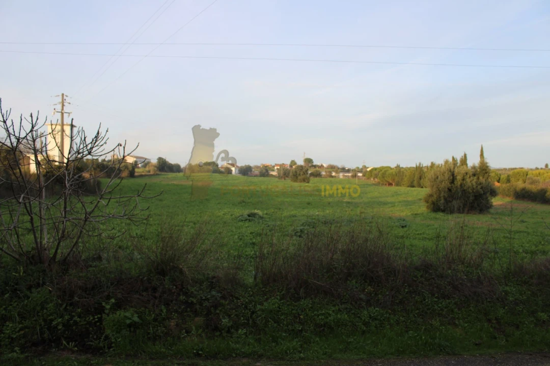 Terreno para Venda em Madalena e Beselga Foto 16