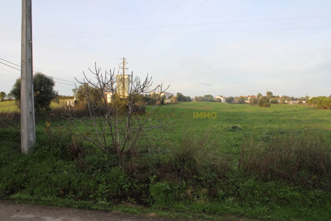 Terreno para Venda em Madalena e Beselga Foto 17