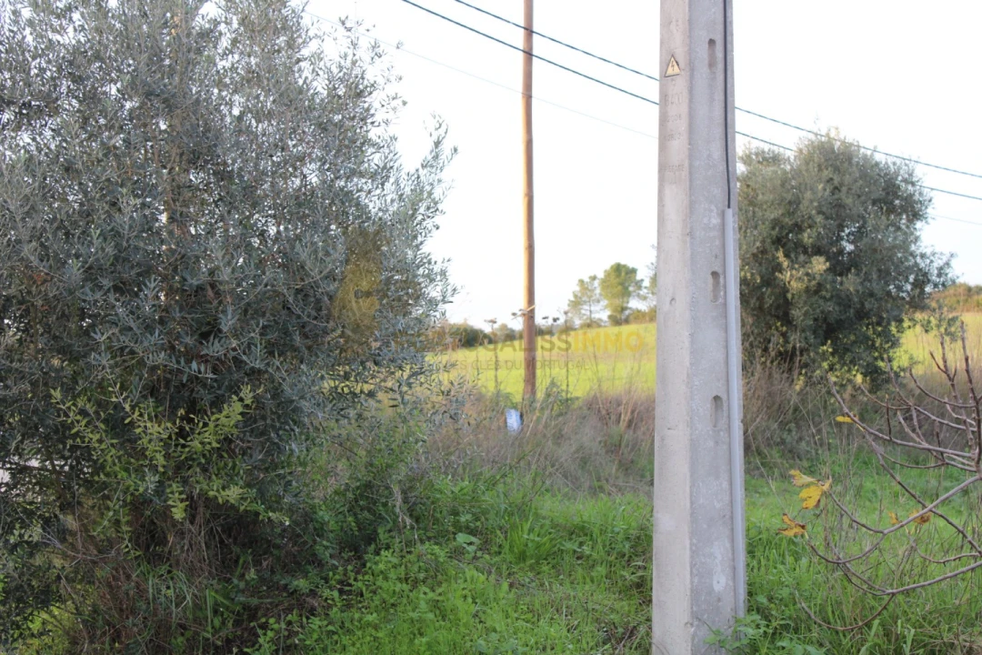 Terreno para Venda em Madalena e Beselga Foto 18