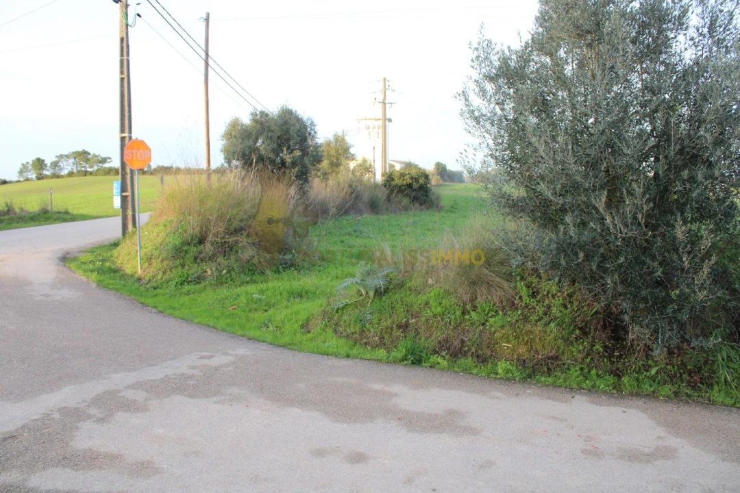 Terreno para Venda em Madalena e Beselga Foto 19