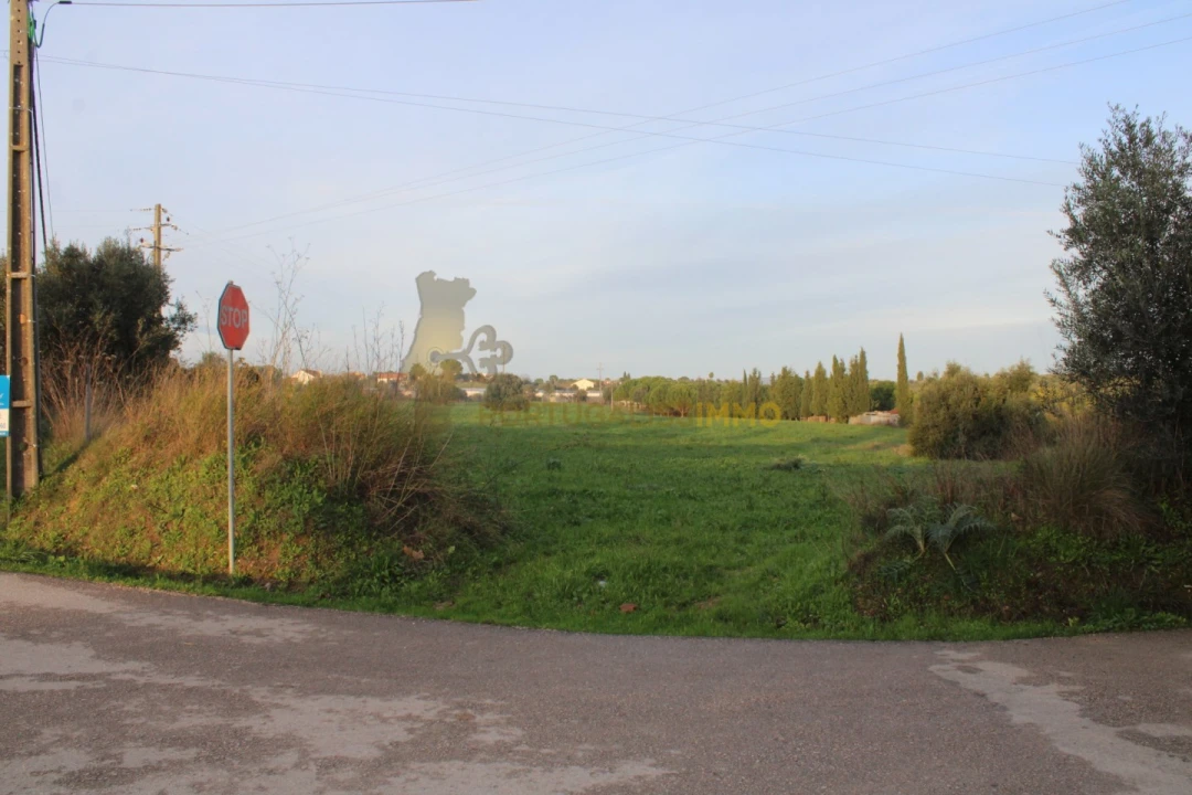 Terreno para Venda em Madalena e Beselga Foto 21