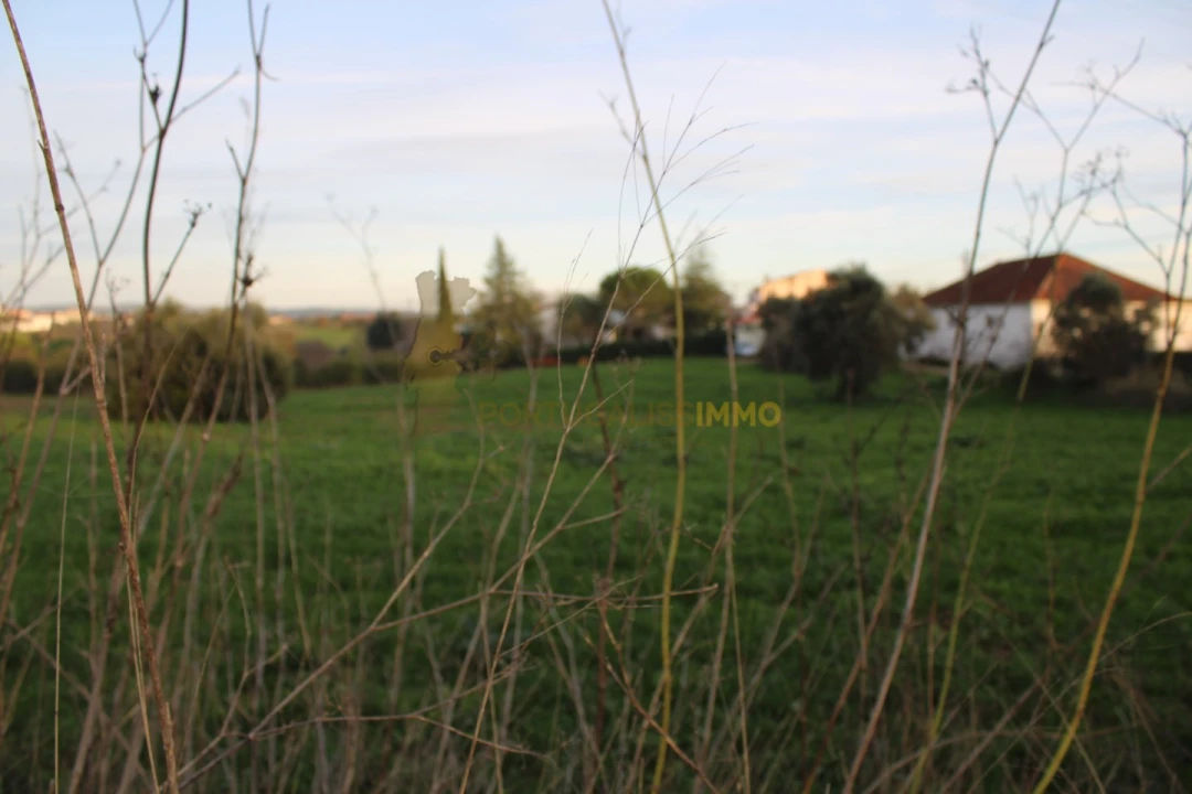 Terreno para Venda em Madalena e Beselga Foto 25