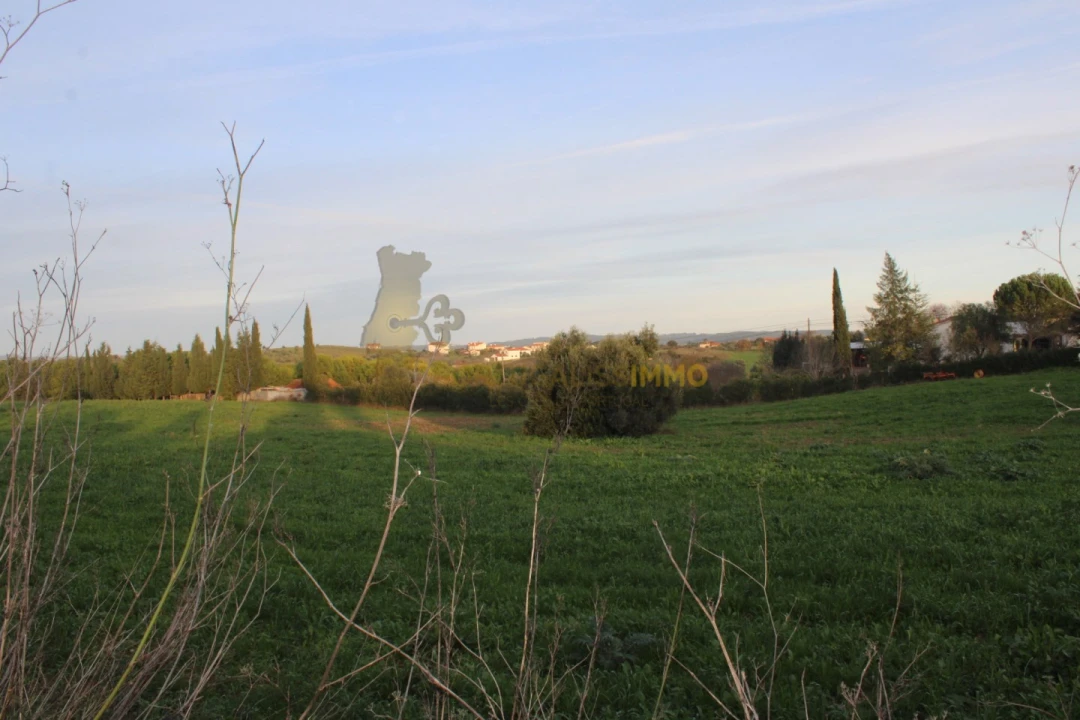 Terreno para Venda em Madalena e Beselga Foto 27