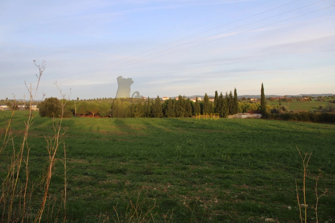 Terreno para Venda em Madalena e Beselga Foto 29