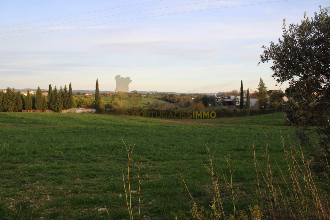 Terreno para Venda em Madalena e Beselga Foto 30