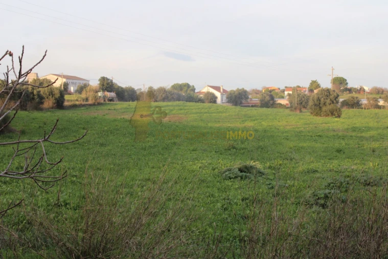 Terreno para Venda em Madalena e Beselga Foto 8