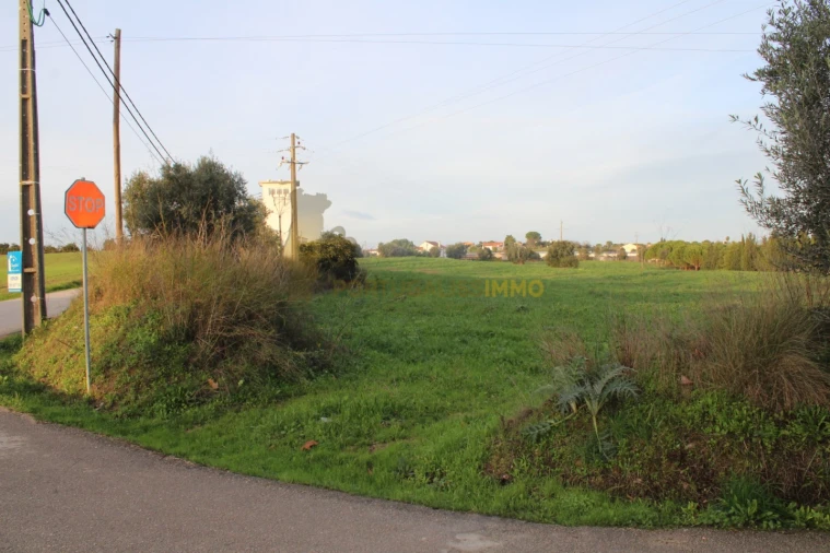Terreno para Venda em Madalena e Beselga Foto 3