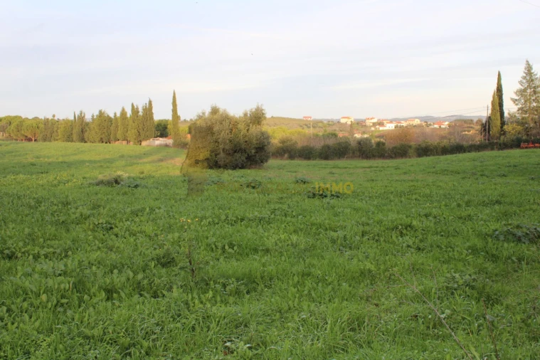 Terreno para Venda em Madalena e Beselga Foto 2