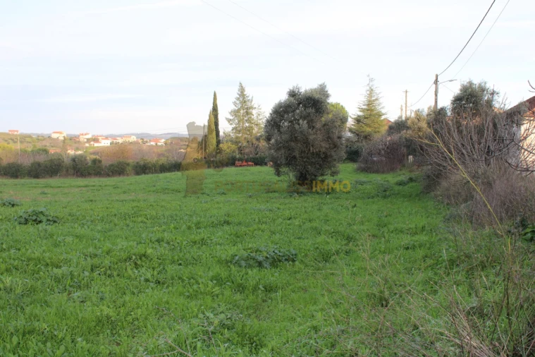 Terreno para Venda em Madalena e Beselga Foto 12