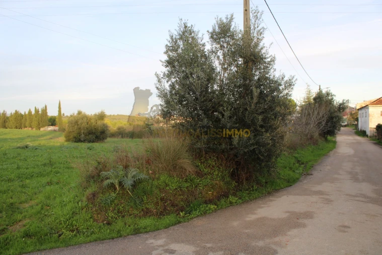 Terreno para Venda em Madalena e Beselga Foto 14