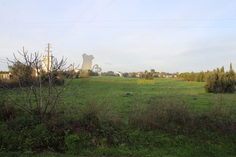 Terreno para Venda em Madalena e Beselga Foto 15