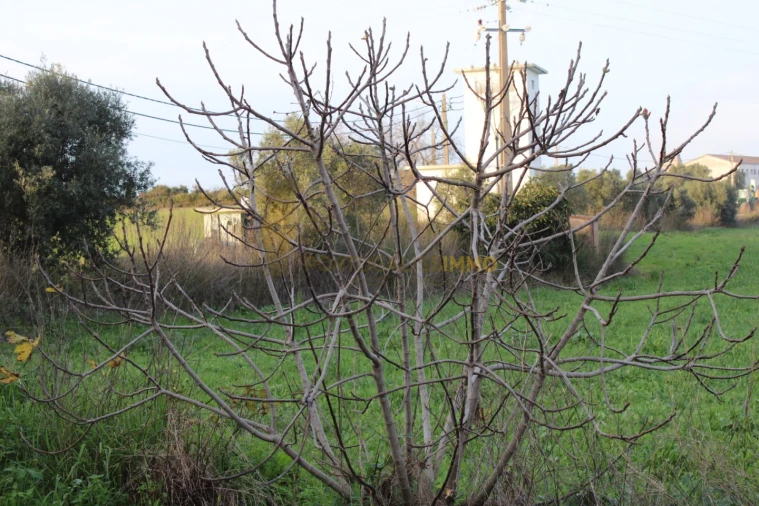 Terreno para Venda em Madalena e Beselga Foto 20