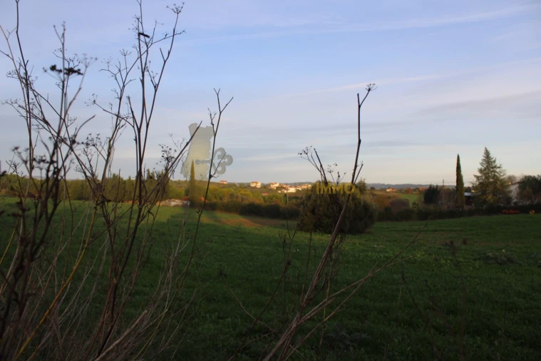 Terreno para Venda em Madalena e Beselga Foto 23
