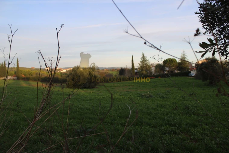 Terreno para Venda em Madalena e Beselga Foto 24