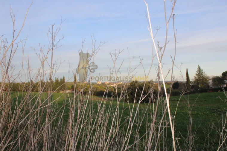 Terreno para Venda em Madalena e Beselga Foto 28