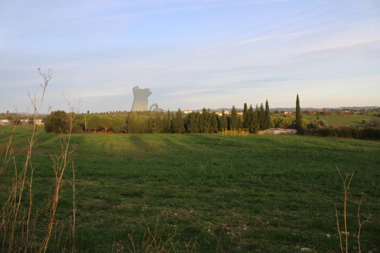 Terreno para Venda em Madalena e Beselga Foto 29