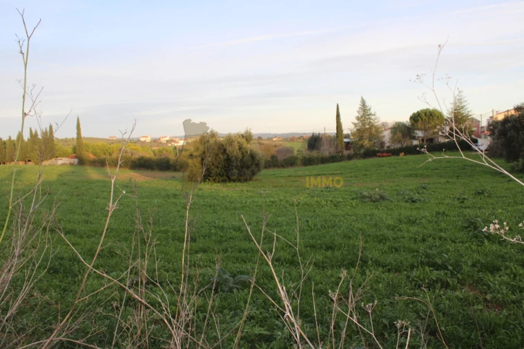 Terreno para Venda em Madalena e Beselga Foto 31