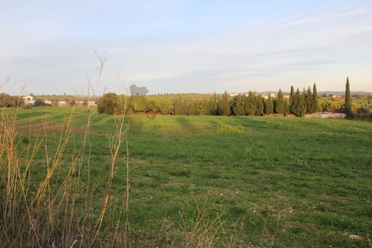 Terreno para Venda em Madalena e Beselga