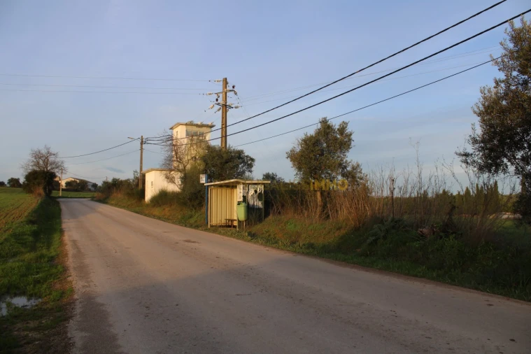 Terreno para Venda em Madalena e Beselga Foto 33