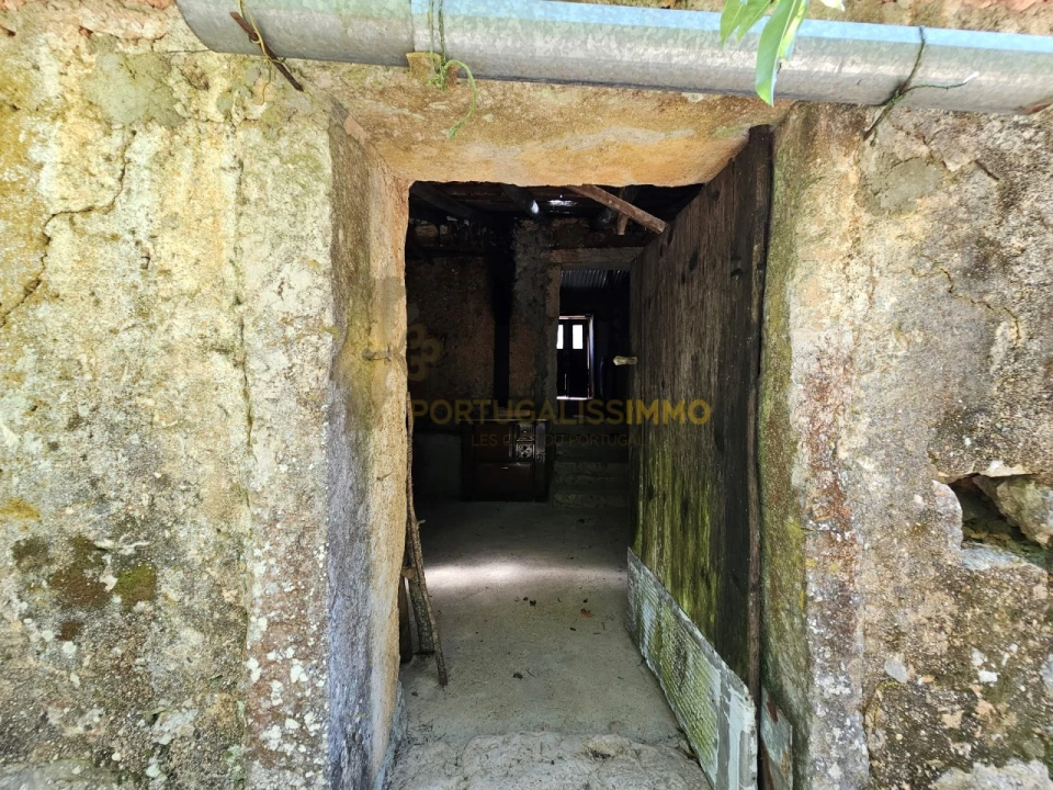 Moradia T4 para Venda em Santiago da Guarda Foto 39