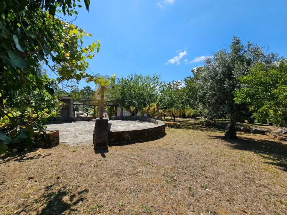 Moradia T4 para Venda em Santiago da Guarda Foto 29