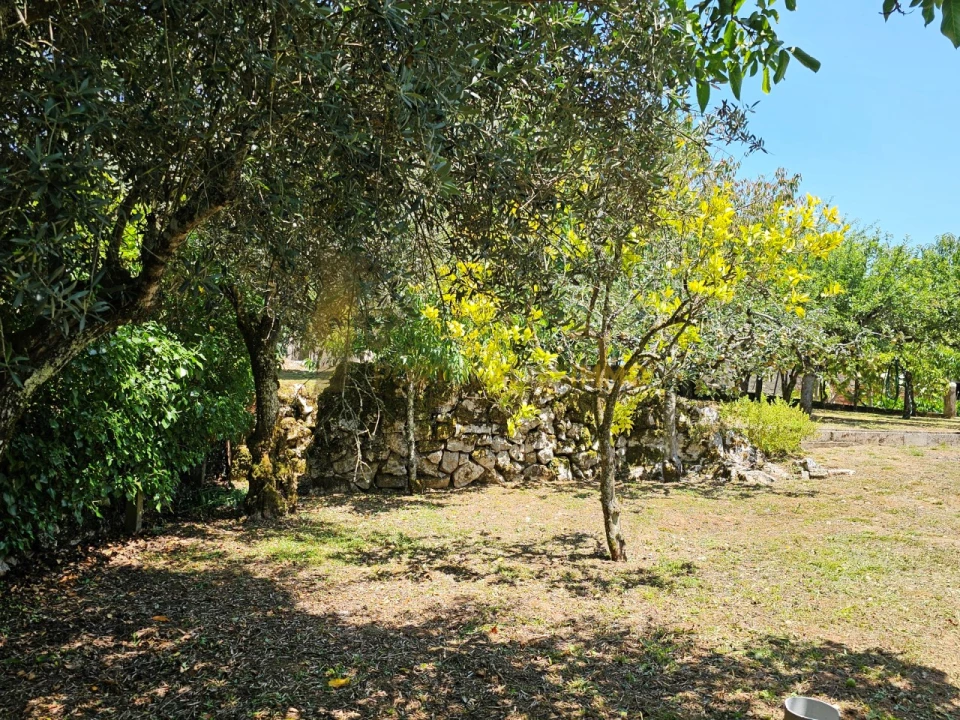 Moradia T4 para Venda em Santiago da Guarda Foto 33