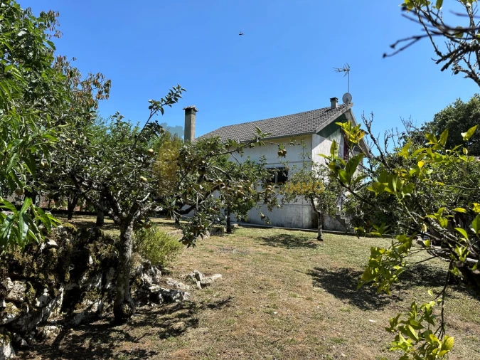 Moradia T4 para Venda em Santiago da Guarda Foto 37