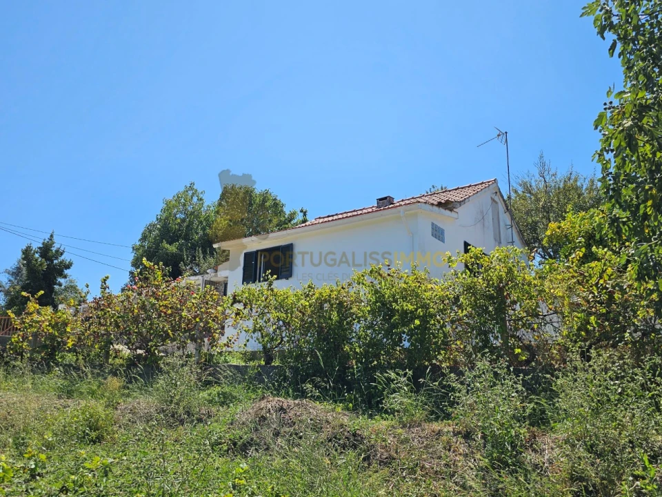 Moradia T3 para Venda em Carregueiros Foto 31