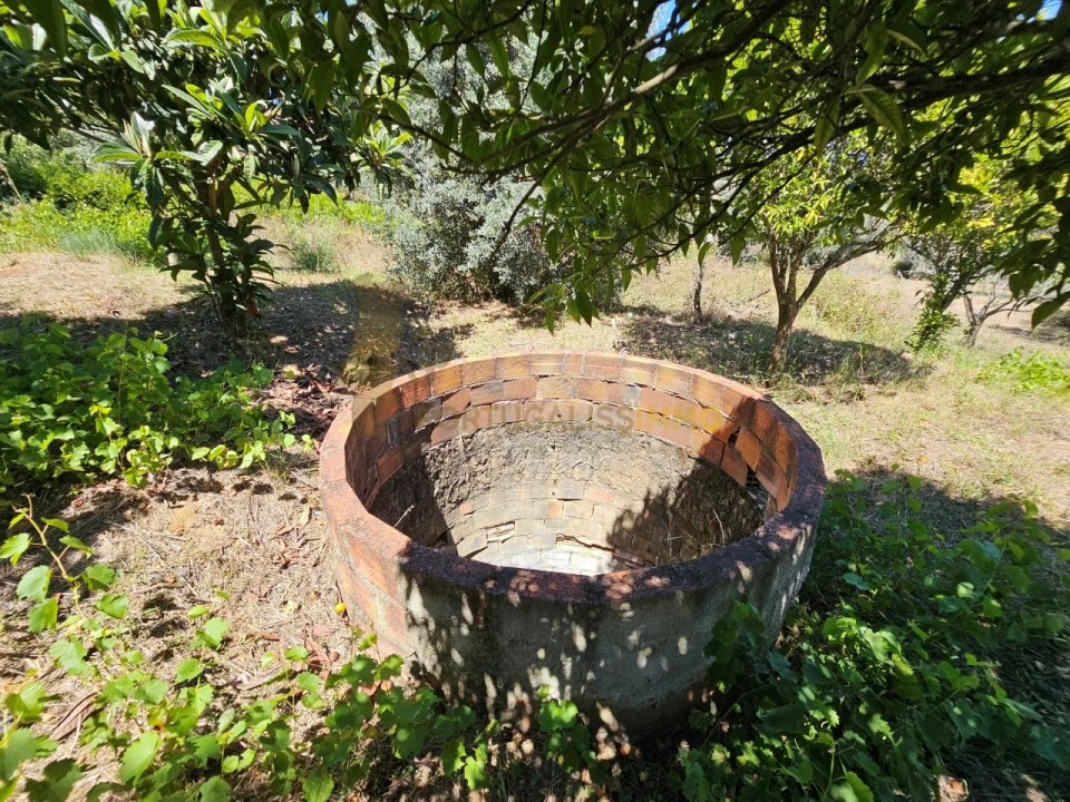 Moradia T3 para Venda em Carregueiros Foto 33