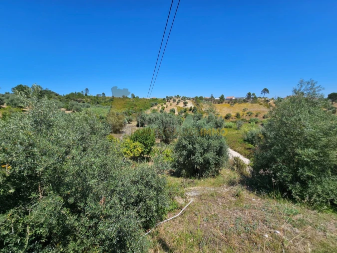 Moradia T3 para Venda em Carregueiros Foto 32