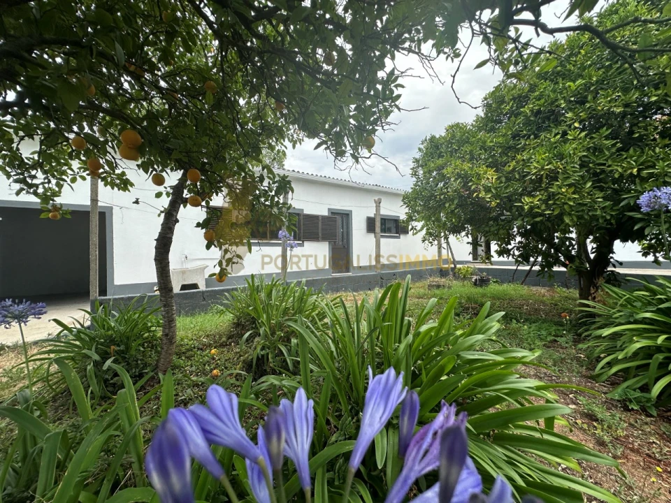 Moradia T3 para Venda em Chãos Foto 26