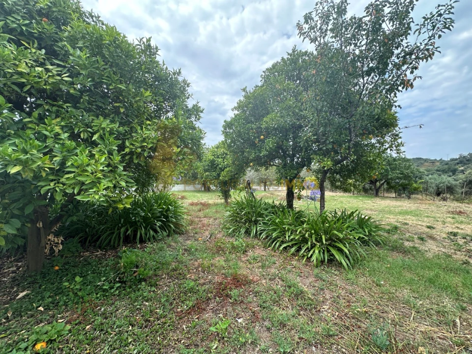 Moradia T3 para Venda em Chãos Foto 27