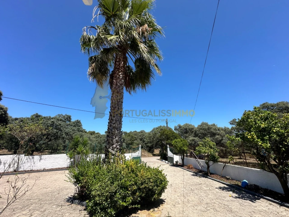 Moradia T3 para Venda em Chãos Foto 36