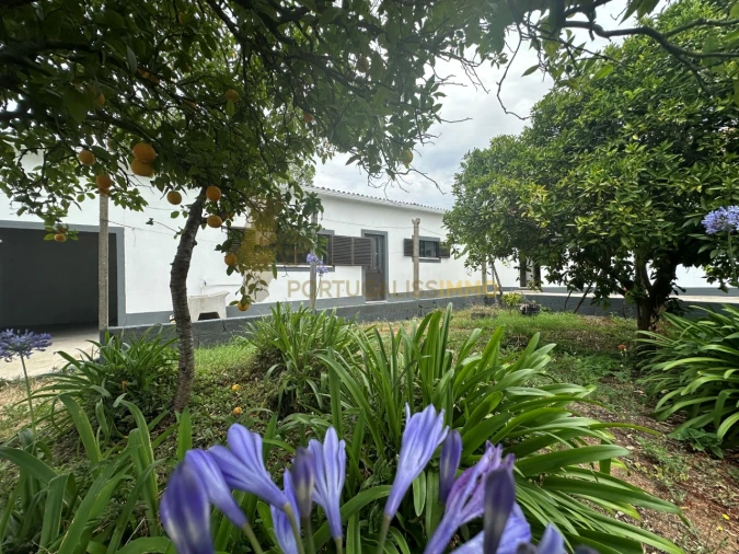 Moradia T3 para Venda em Chãos Foto 26