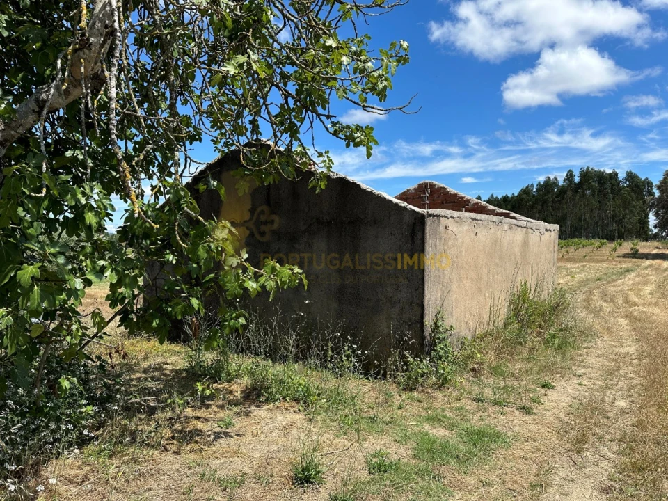 Quinta T1 para Venda em Madalena e Beselga Foto 5