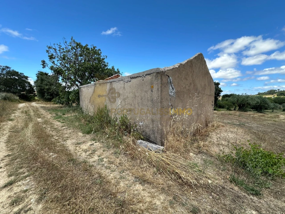 Quinta T1 para Venda em Madalena e Beselga Foto 4