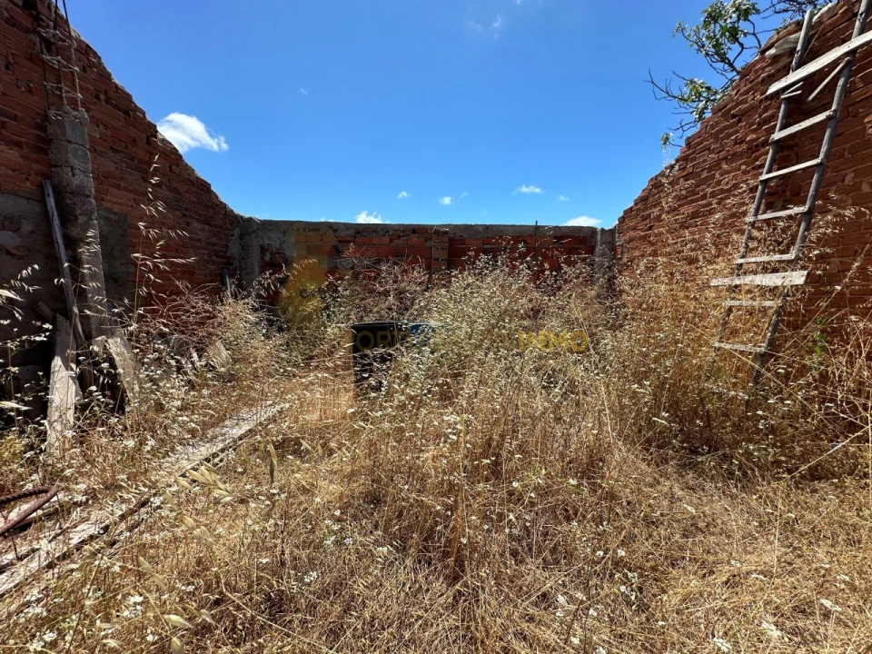 Quinta T1 para Venda em Madalena e Beselga Foto 6