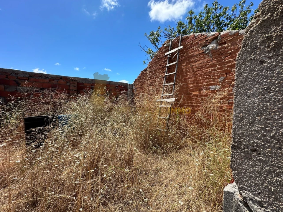 Quinta T1 para Venda em Madalena e Beselga Foto 7