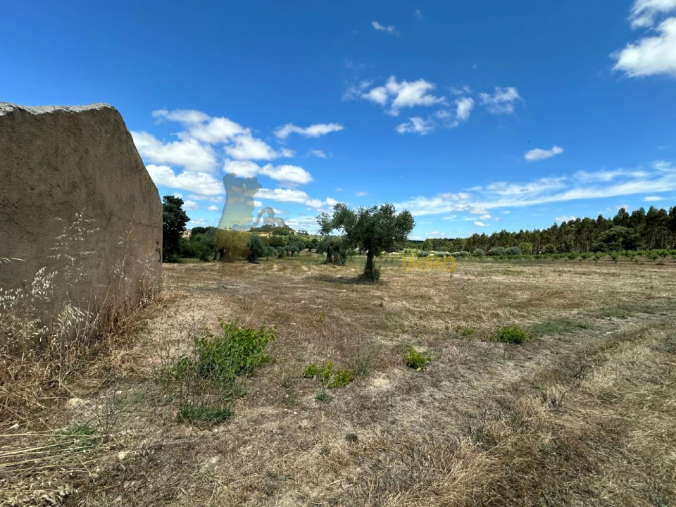 Quinta T1 para Venda em Madalena e Beselga Foto 9