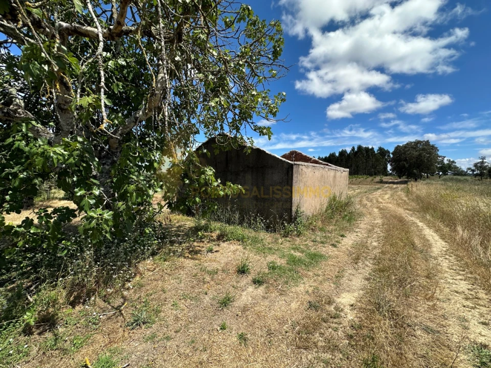 Quinta T1 para Venda em Madalena e Beselga Foto 10
