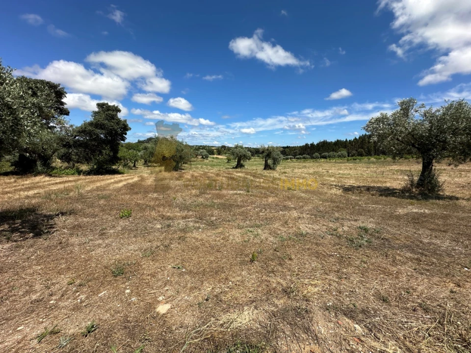 Quinta T1 para Venda em Madalena e Beselga Foto 12