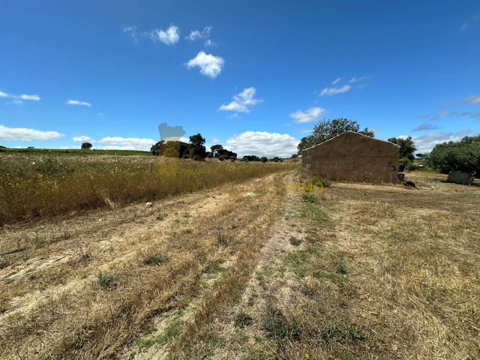 Quinta T1 para Venda em Madalena e Beselga Foto 13