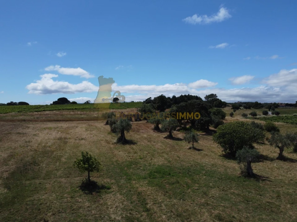 Quinta T1 para Venda em Madalena e Beselga Foto 22