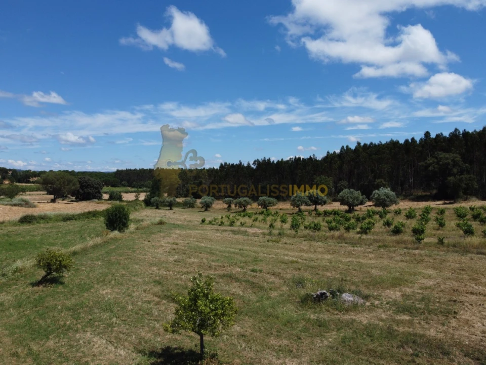 Quinta T1 para Venda em Madalena e Beselga Foto 25