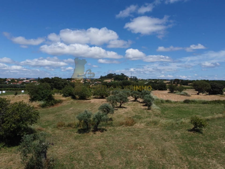 Quinta T1 para Venda em Madalena e Beselga Foto 26